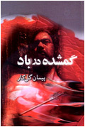 گمشده در باد